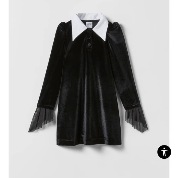 NOT FOR SALE. ISO OF THIS ZARA DRESS GIRLS SIZE 6/7 OR 7/8!!!! - Picture 1 of 1